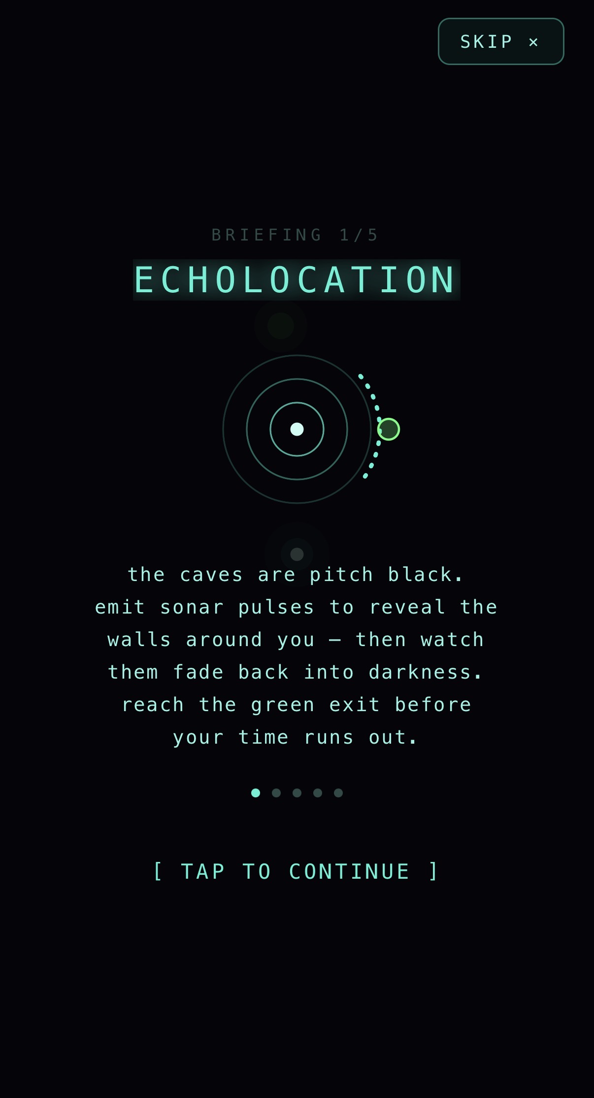 Step 1 — Echolocation briefing screen